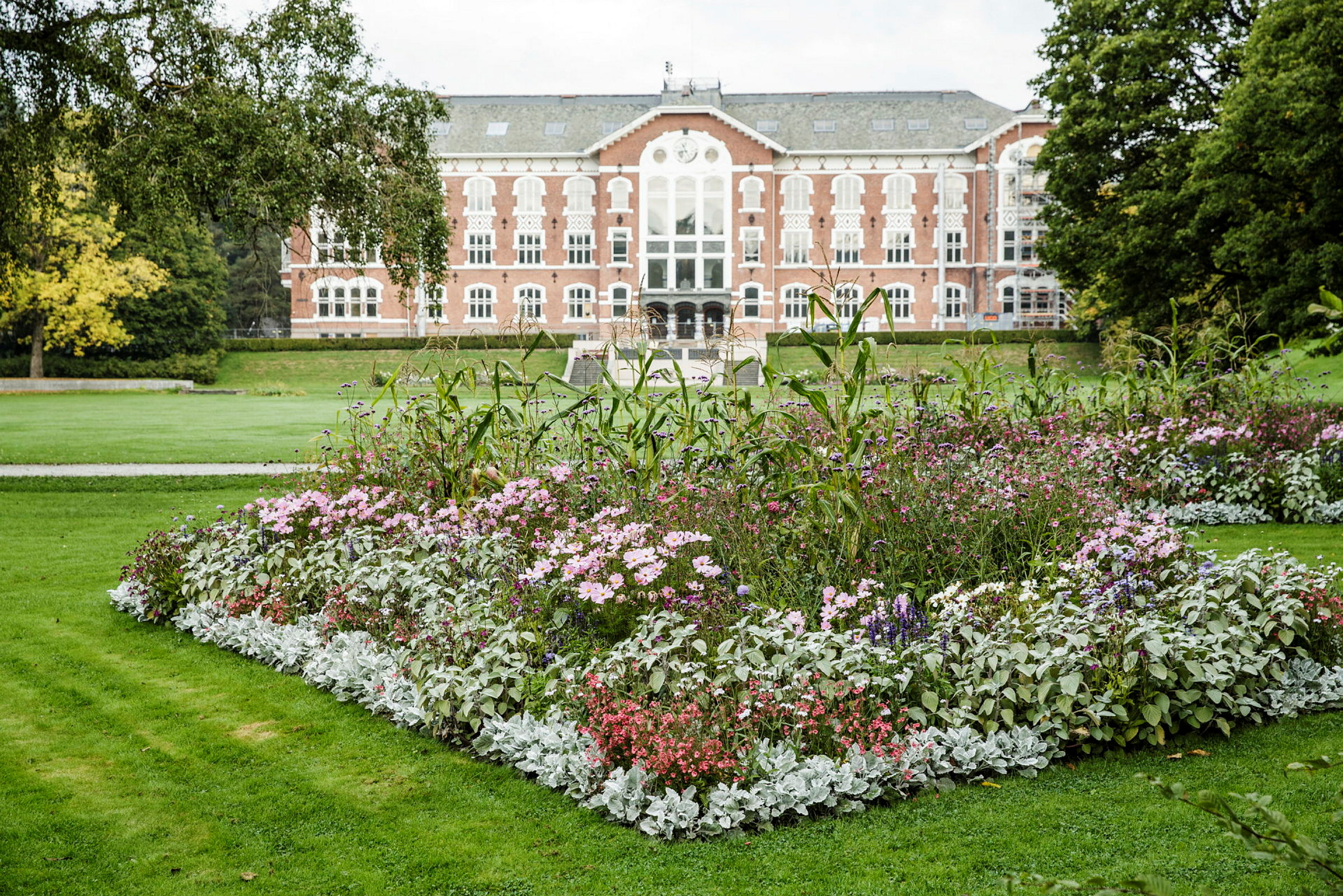 Viftebedet med sommerblomster i parken på NMBU. I bakgrunnen sees Urbygningen.