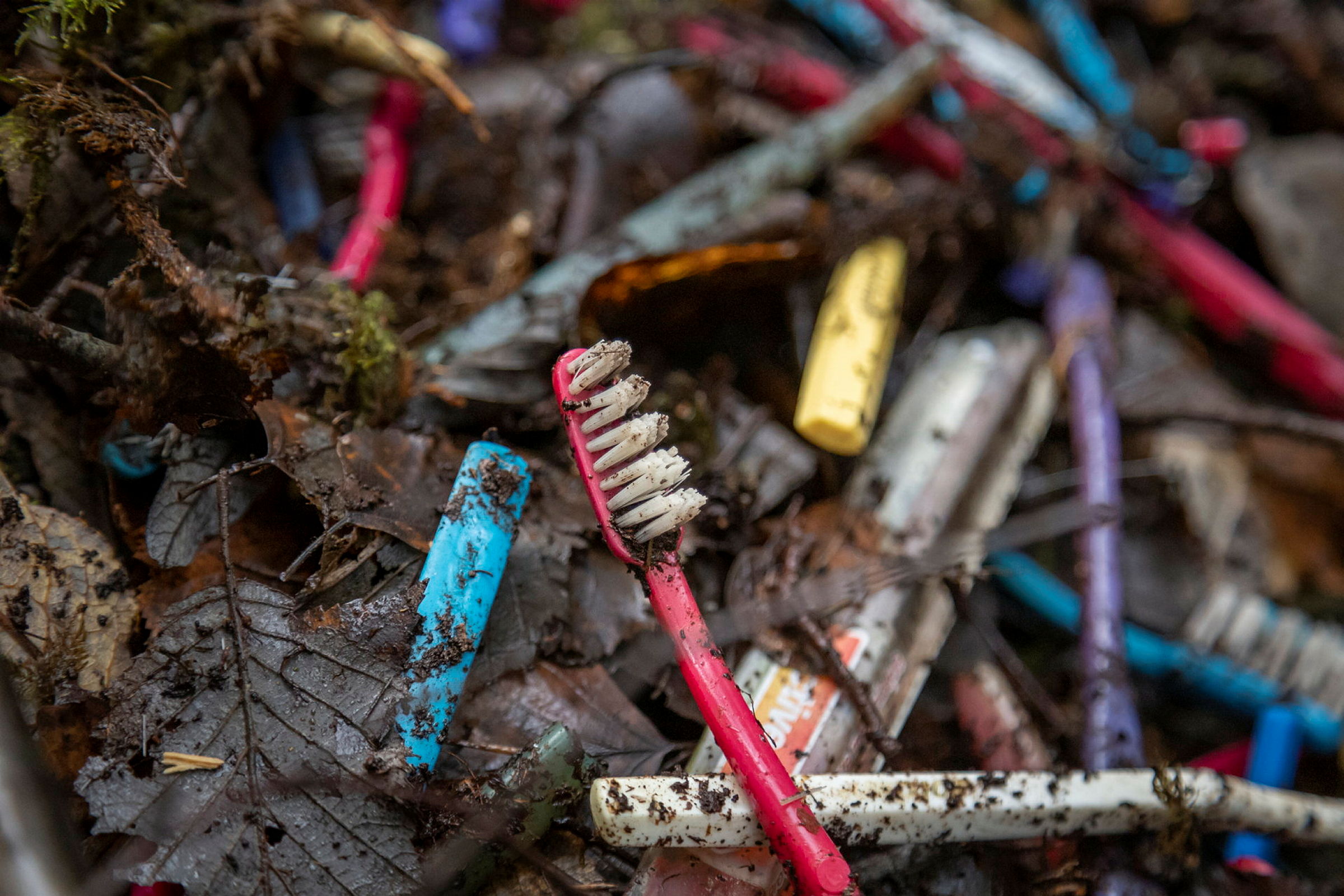 Tannbørster og plast fra produksjon som Jordan dumpa i skogen i Åsnes på 1970 og 1980 tallet er nå en del av et forskningsprosjekt hos NMBU.
Bildene viser innsamling av prøver til forskning for å bryte ned og gjenvinne plastavfall gjennom naturlige 