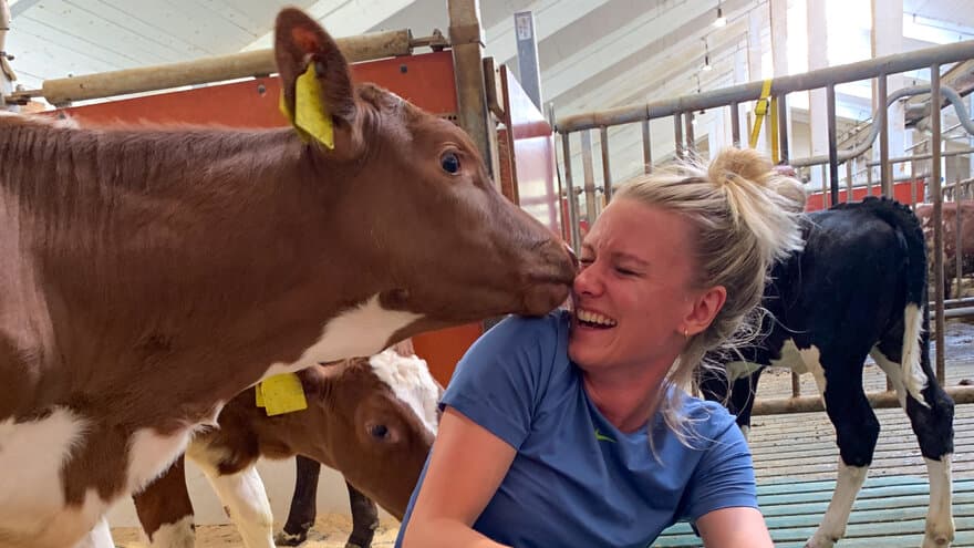 Bildet viser Thea Skiaker sammen med en kalv som slikker henne i ansiktet.