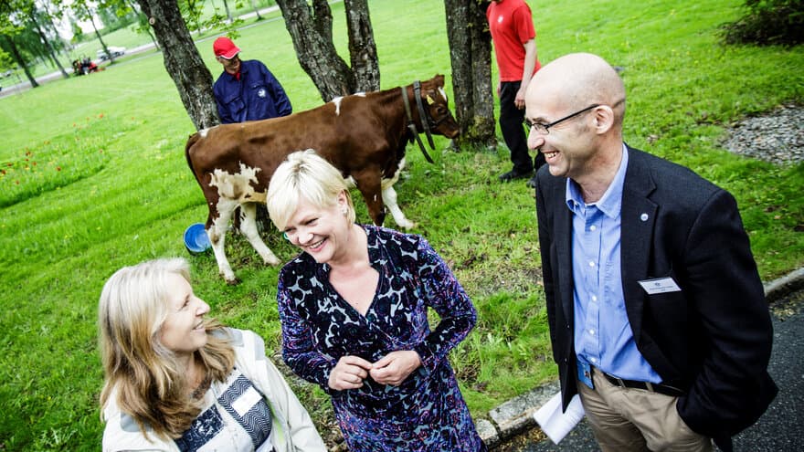 Vårkonferansen AKVA2013 ved UMB. Kunnskapsminister Kristin Halvorsen får en kvige oppkalt etter seg i forbindelse med sammenslåing av UMB og NVH. Til venstre: Yngvild Wasteson (rektor ved NVH), til høyre: Hans Fredrik Hoen (rektor ved UMB).