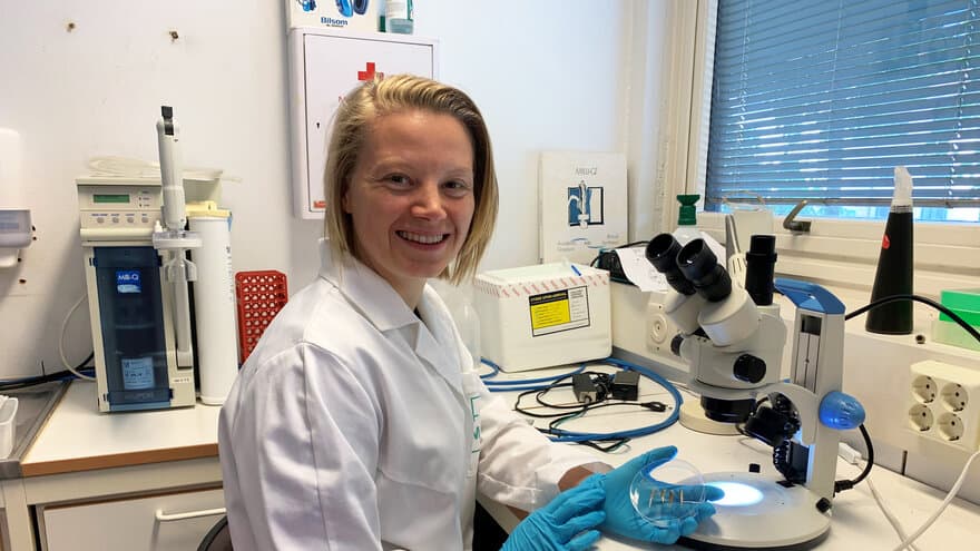 Doktorgradsstipendiat Helene Midttun mener forskningsfasiliteter må bli bedre på å teste fiskene for diverse sykdommer slik som hjerneparasitten Pseudoloma neurophilia.