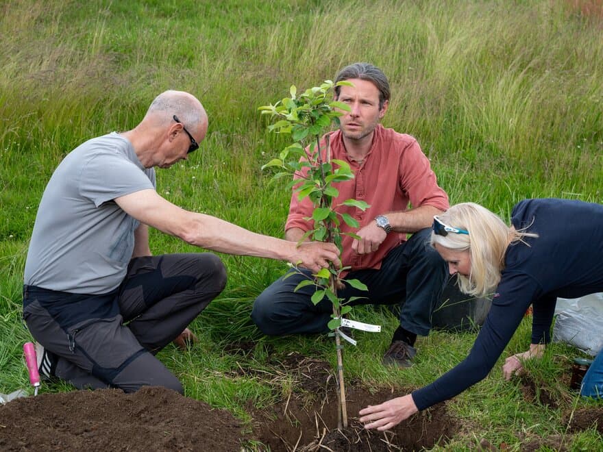 To menn og en kvinne planter et epletre