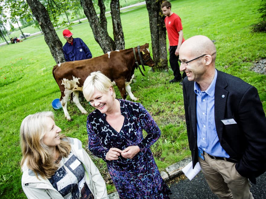 Vårkonferansen AKVA2013 ved UMB. Kunnskapsminister Kristin Halvorsen får en kvige oppkalt etter seg i forbindelse med sammenslåing av UMB og NVH. Til venstre: Yngvild Wasteson (rektor ved NVH), til høyre: Hans Fredrik Hoen (rektor ved UMB).