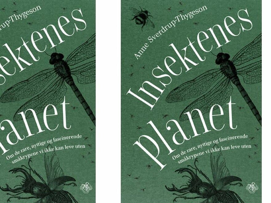 Insektenes planet