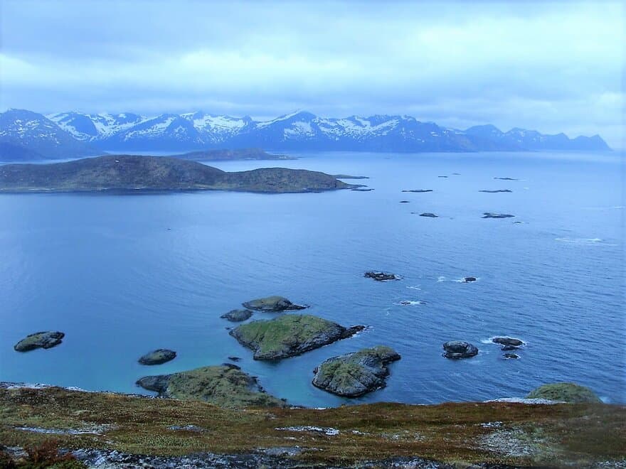 Høsten 2020 er NMBU med på å starte et nytt studieprogram om miljøforurensing i Arktis. 