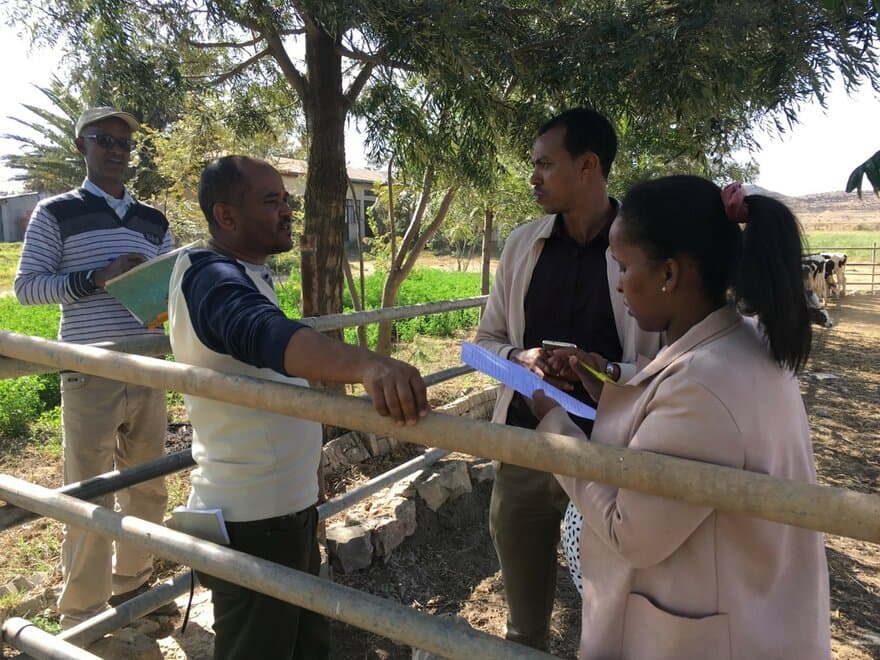 Tsegabirhan Kifleyohannes Tesama intervjuer bønder i Trigray, Etiopia, angående diaré hos dyrene og forvaltningspraksis