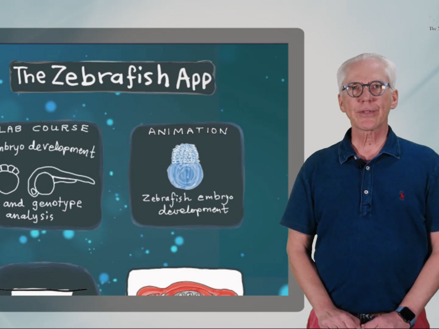 Peter Alestrøm, The Zebrafish App