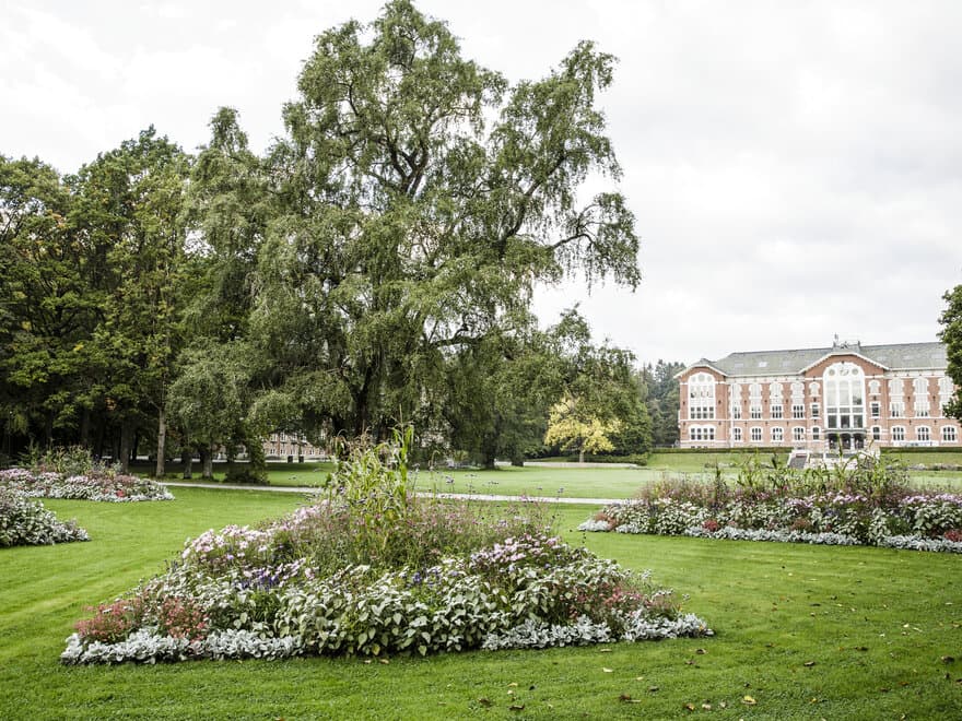 Parken på Campus Ås i full blomst