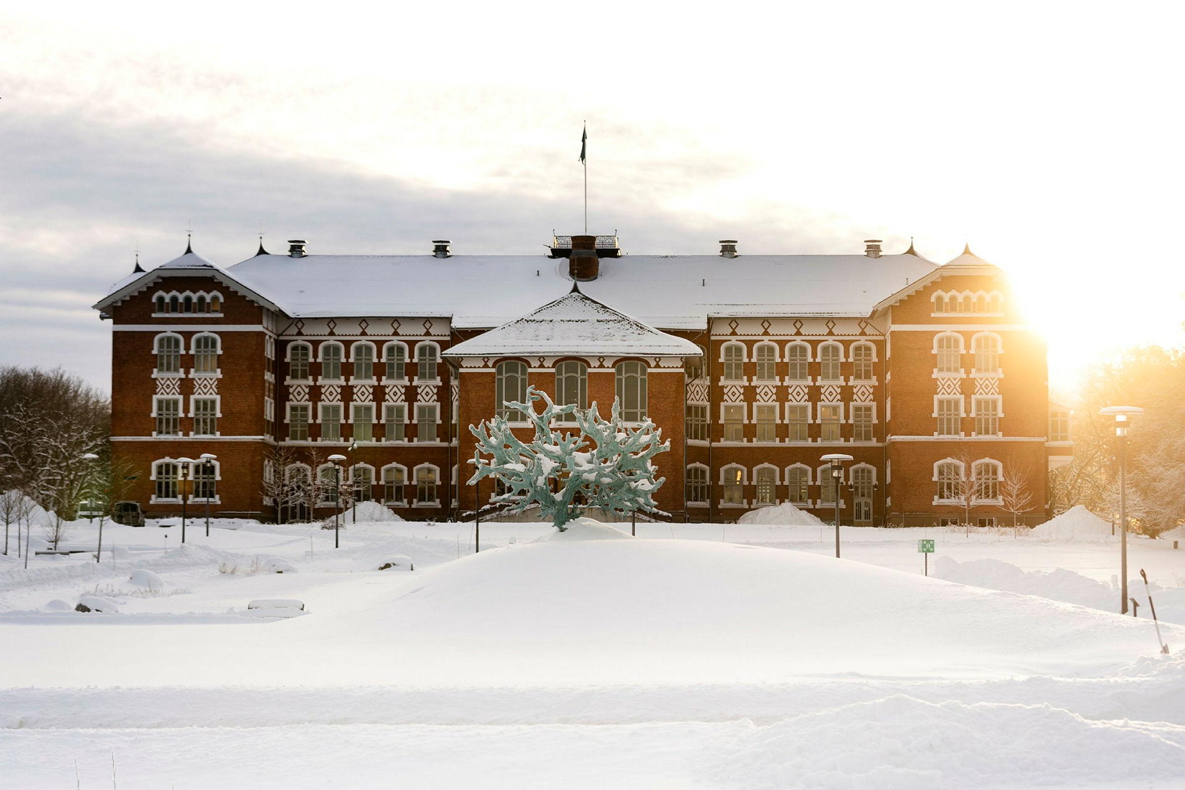 Vinterbilder av campus januar 2024